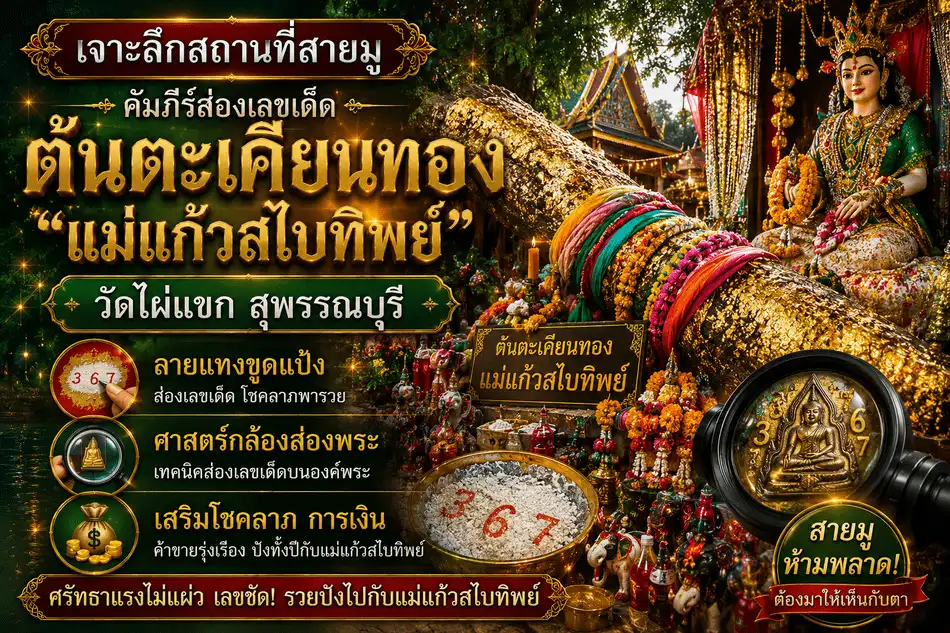 ต้นตะเคียนทอง แม่แก้วสไบทิพย์ วัดไผ่แขก สุพรรณบุรี สถานที่สายมูชื่อดังสำหรับขอเลขเด็ด โชคลาภ และเสริมดวงการเงิน